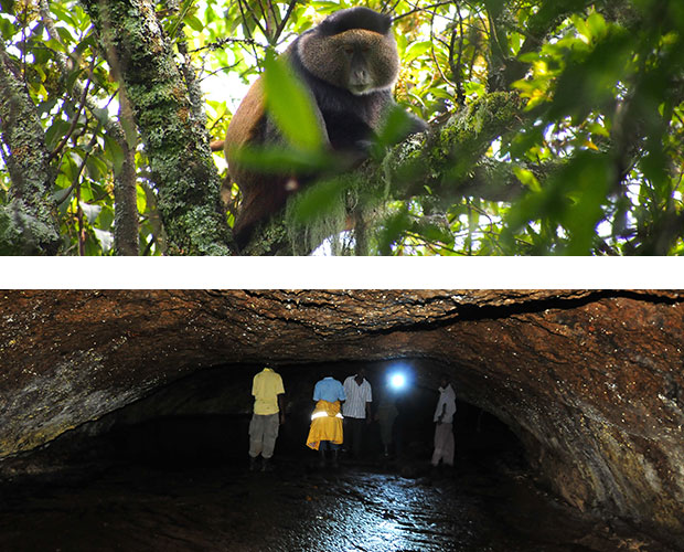 Mgahinga National Park - Cave